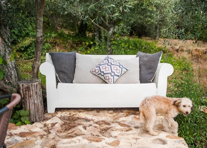 Casa Do Manel * Trancoso